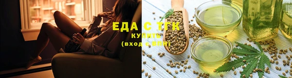 шишки Новозыбков