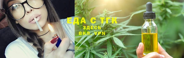 шишки Новозыбков
