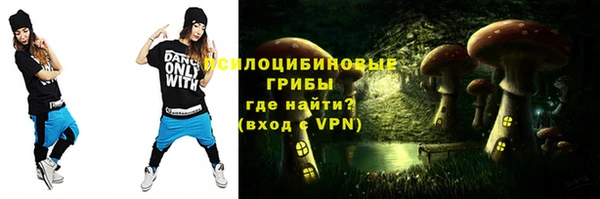 шишки Новозыбков