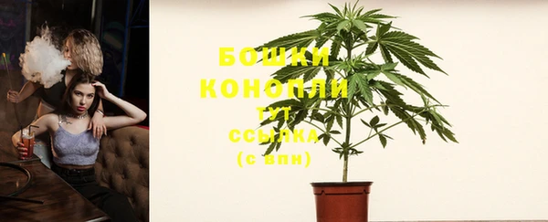 амф Новодвинск