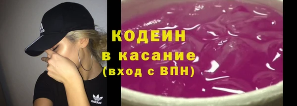 шишки Новозыбков