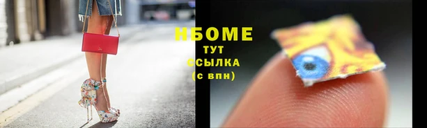 шишки Новозыбков