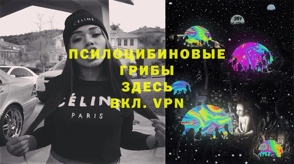 амф Новодвинск