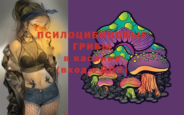 ешки Беломорск