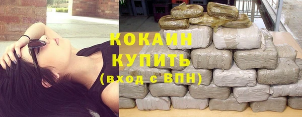 шишки Новозыбков