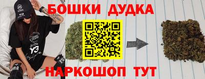 прущие грибы Кингисепп