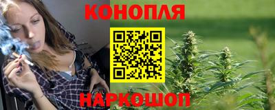 прущие грибы Кингисепп