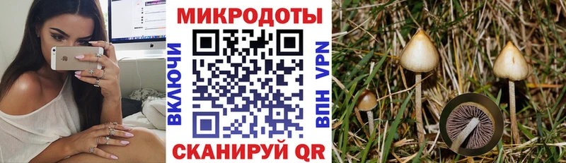 Галлюциногенные грибы мухоморы  Полысаево 