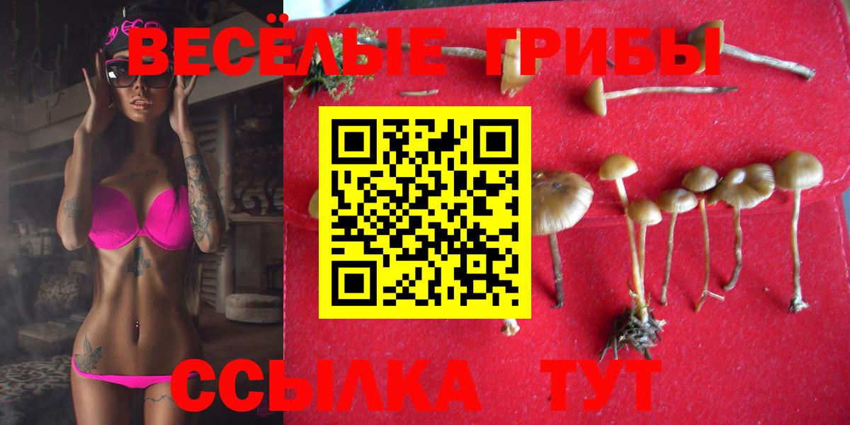 Галлюциногенные грибы MAGIC MUSHROOMS  Галлюциногенные грибы мухоморы  даркнет сайт  Вход с VPN  Полысаево 